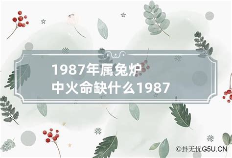 炉中火命兔|炉中火命的人会富贵吗？炉中火有何含义？